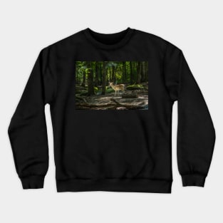 Magical Deer moment Crewneck Sweatshirt